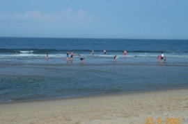 Cape Cod