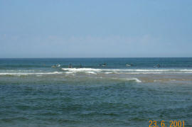 Cape Cod