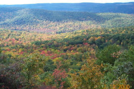 Indian Summer 2