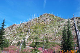 Mt. St. Helens