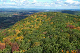 Indian Summer 3
