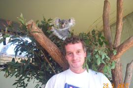Koala