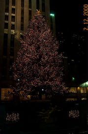 Christmas Tree at Rockefeller Center