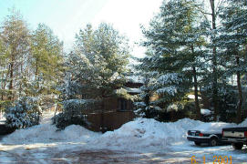 Real Winter 1