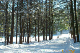 Real Winter 3